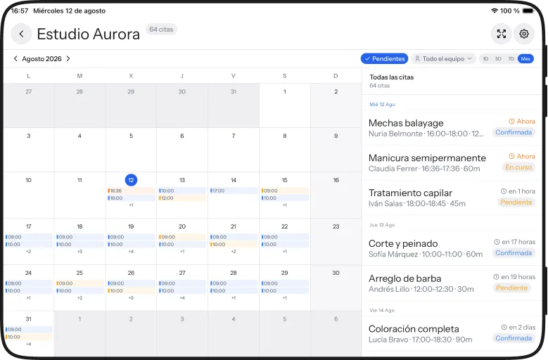 El mes completo en iPad, con el filtro de pendientes activo y la lista de citas al lado